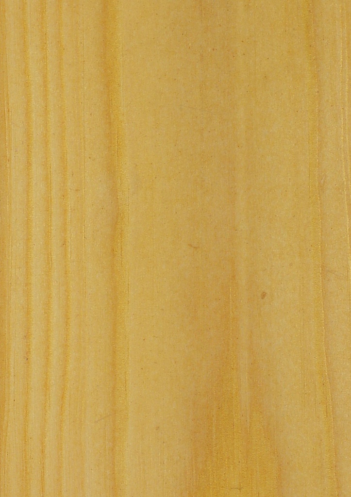 Грецкий орех1